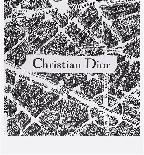 dior saddle plan de paris